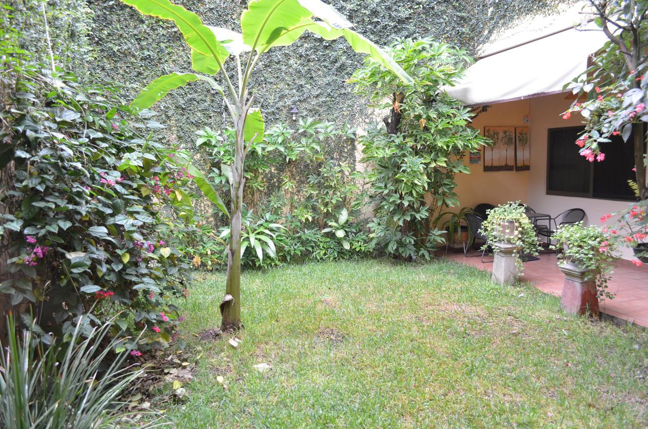 Hotel Don Nino Oaxaca ภายนอก รูปภาพ